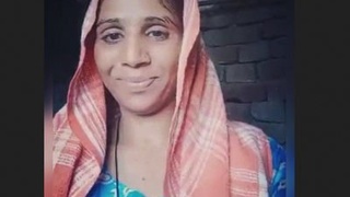 Punjabi bhabhi clips go mainstream