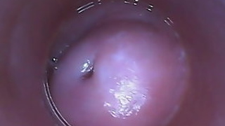 Explore the wonders of the vagina in this erotic video