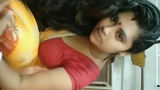 Desi chat leads to steamy video with ex-lover