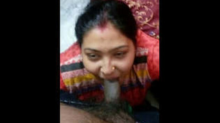 Desi wife Boudi has hardcore sex and gives a blowjob to her husband in part 2 of the video