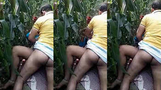 Desi wife gets fucked by neighbor in corn field